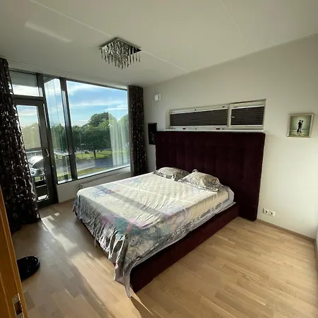 Daire Stunning Sunsets Of Tallinn