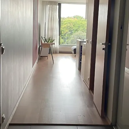 Daire Stunning Sunsets Of *